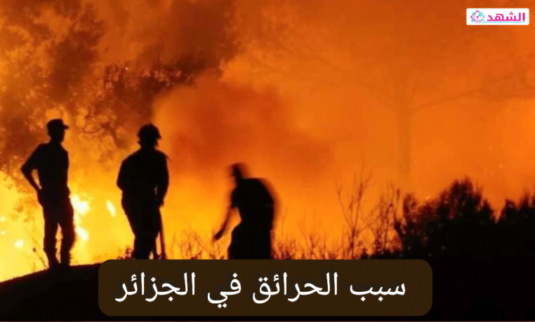 سبب الحرائق في الجزائر