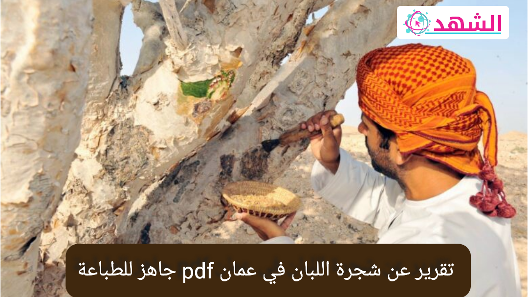 تقرير عن شجرة اللبان في عمان pdf جاهز للطباعة