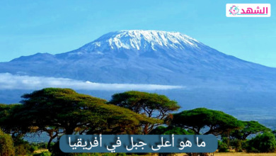 ما هو أعلى جبل في أفريقيا