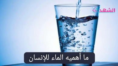 ما أهميه الماء للإنسان