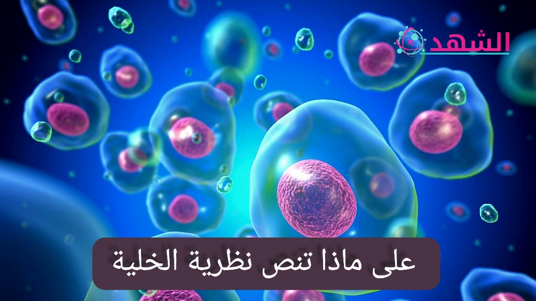 تنص نظرية الخلية على أن