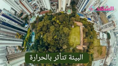 البيئة تتأثر بالحرارة
