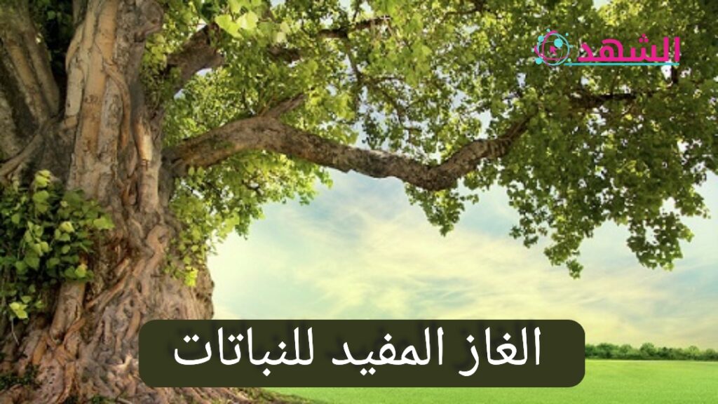 الغاز المفيد للنباتات