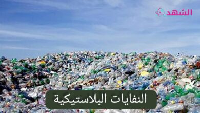 النفايات البلاستيكية