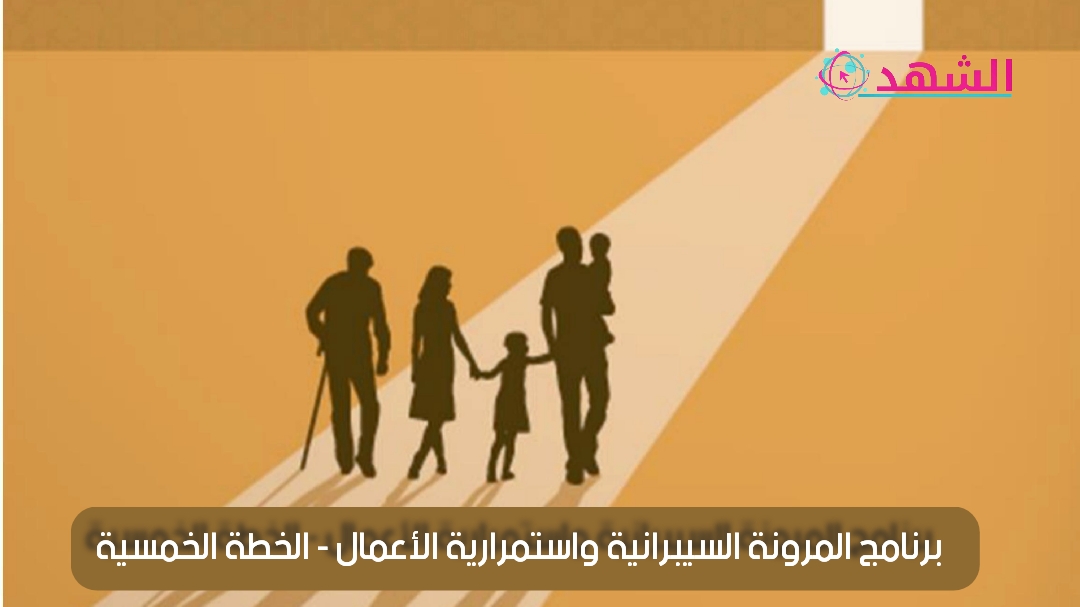 برنامج المرونة السيبرانية واستمرارية الأعمال - الخطة الخمسية