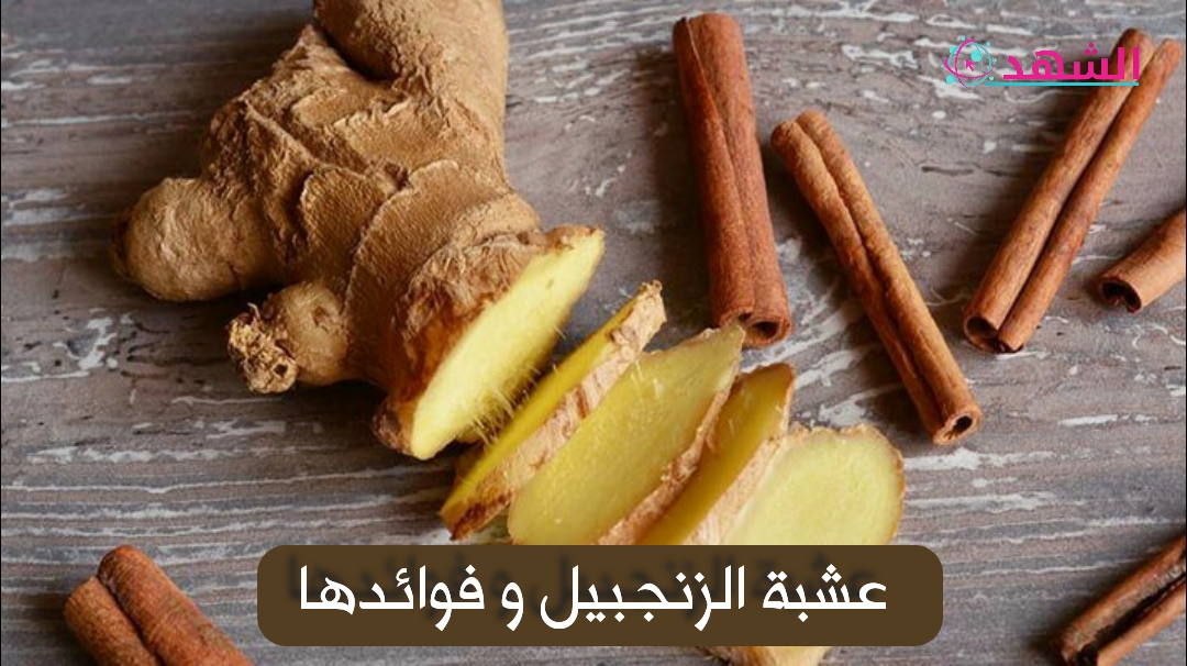 عشبة الزنجبيل و فوائدها