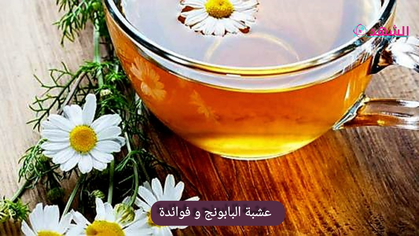 عشبة البابونج و فوائدة