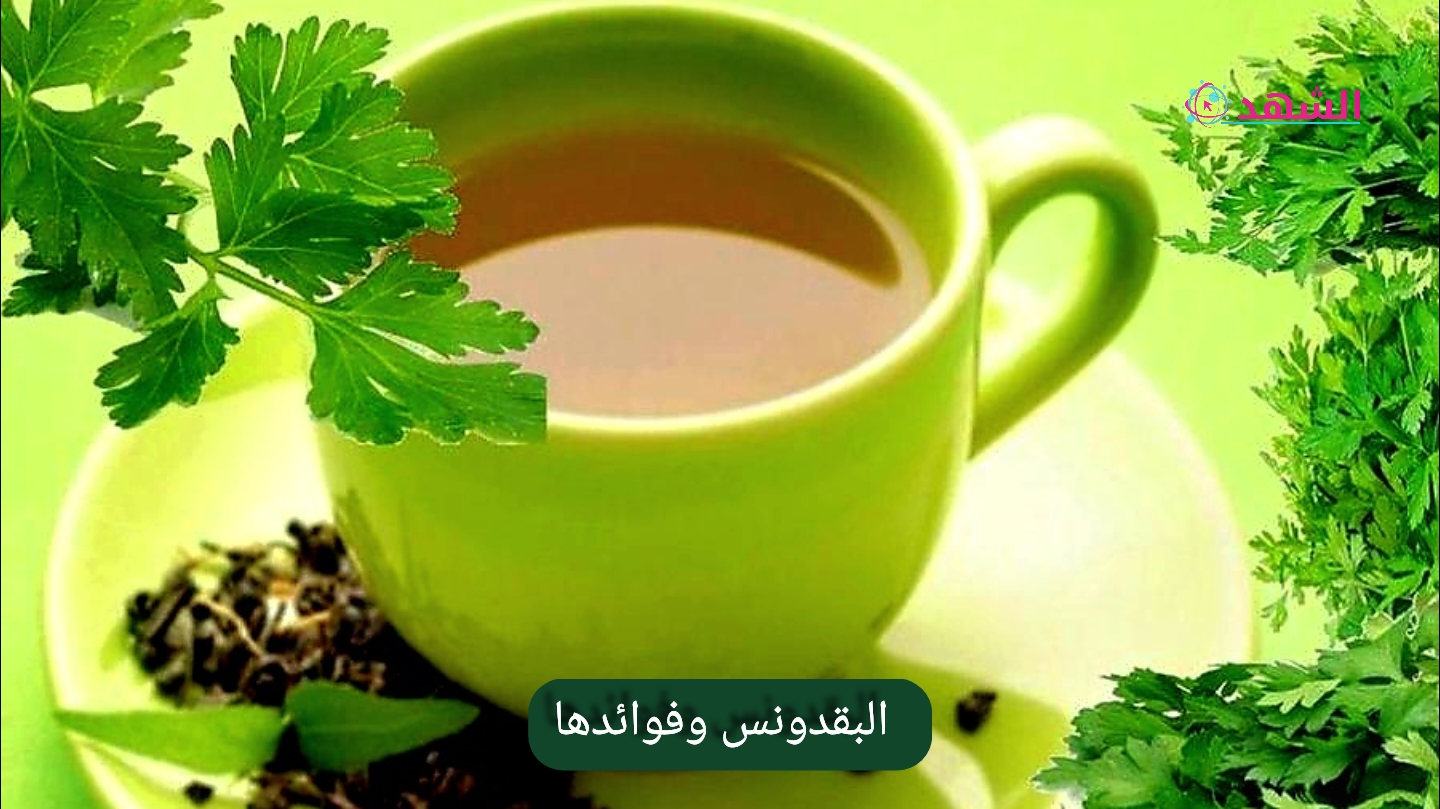 البقدونس وفوائدها