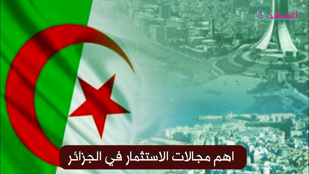 اهم مجالات الاستثمار في الجزائر