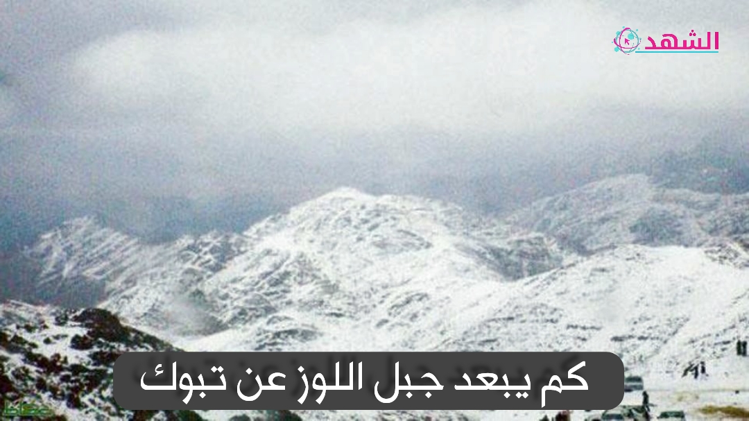 كم يبعد جبل اللوز عن تبوك