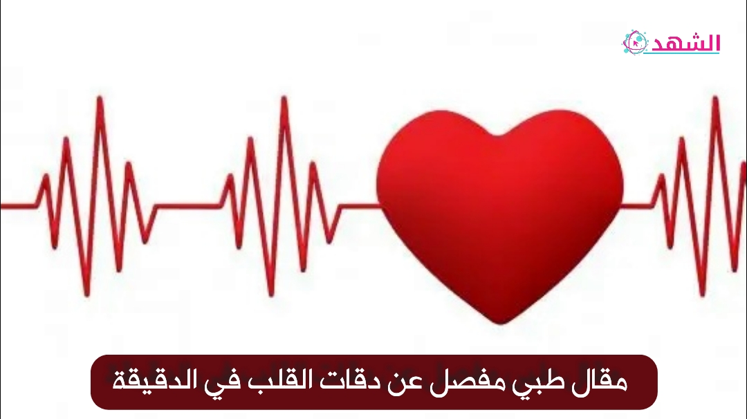 مقال طبي مفصل عن دقات القلب في الدقيقة