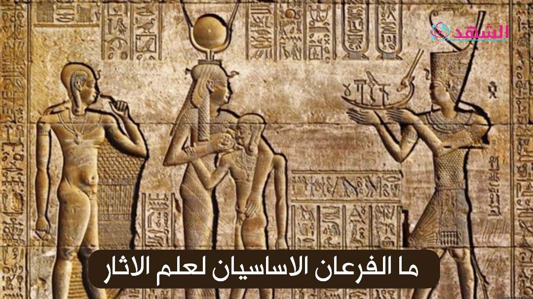 ما الفرعان الاساسيان لعلم الاثار