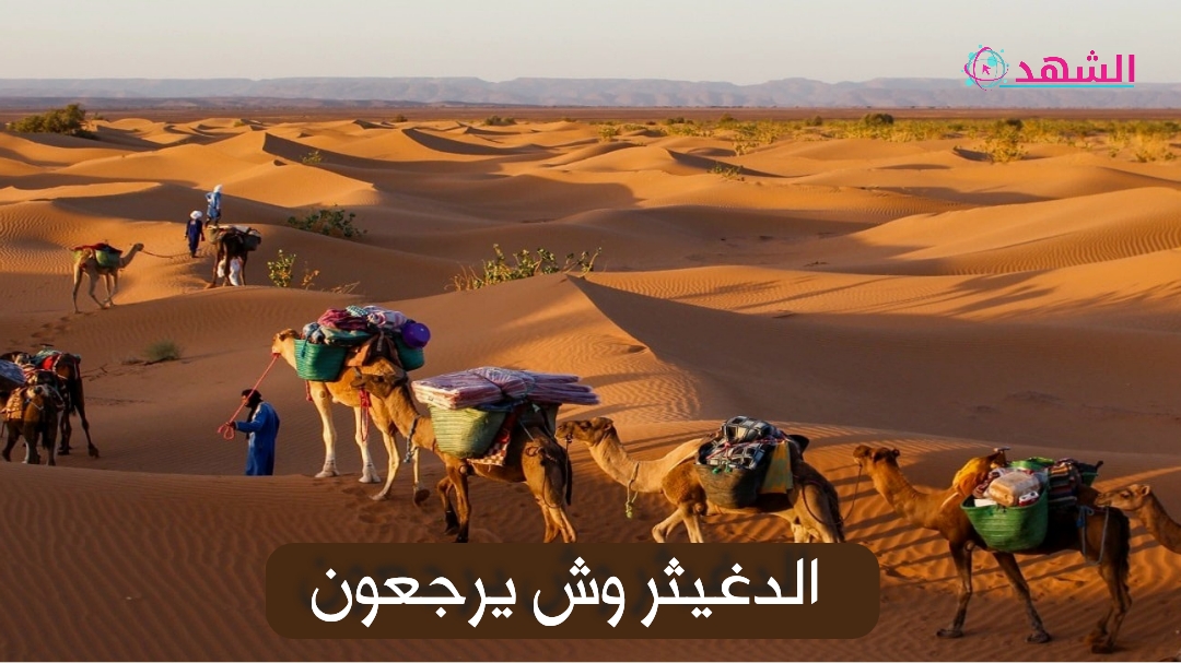 الدغيثر وش يرجعون