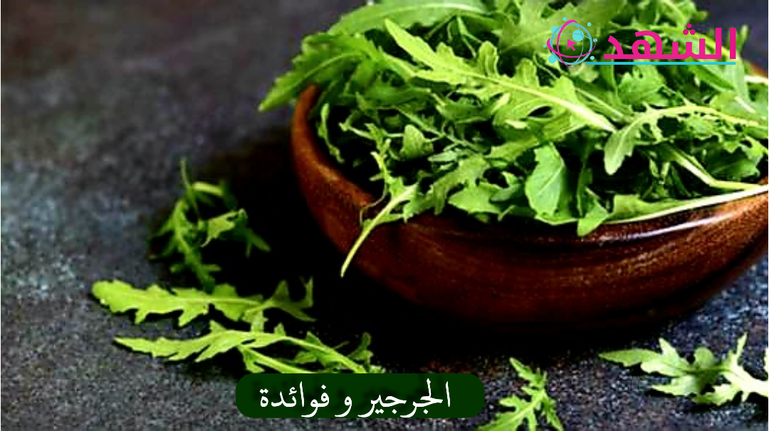 الجرجير و فوائدة