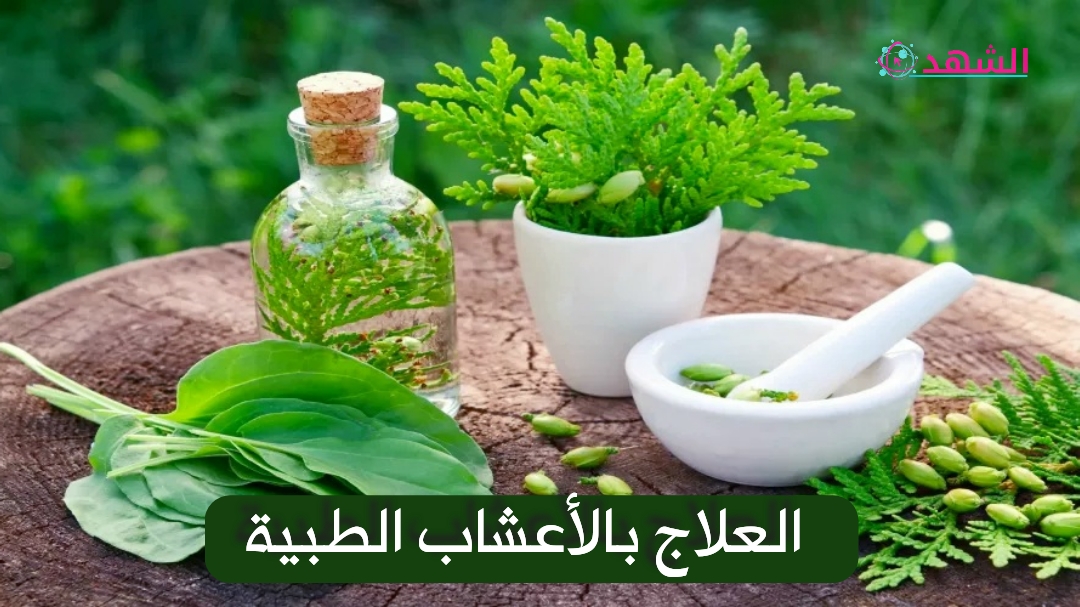 العلاج بالأعشاب الطبية