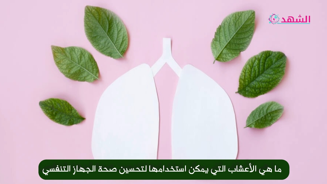 ما هي الأعشاب التي يمكن استخدامها لتحسين صحة الجهاز التنفسي