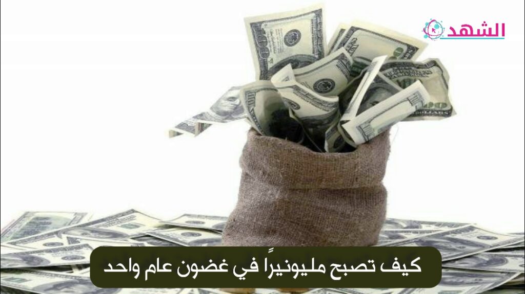 كيف تصبح مليونيرًا في غضون عام واحد